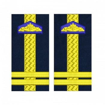 GRADE LOCOTENENT-COLONEL SRI